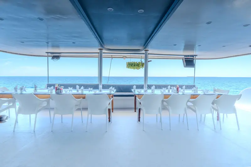 Ocean One