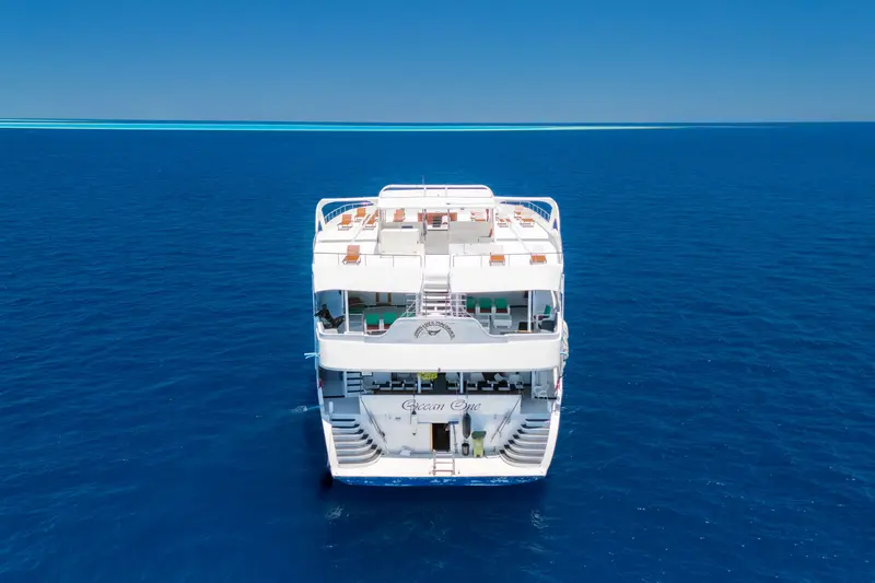 Ocean One
