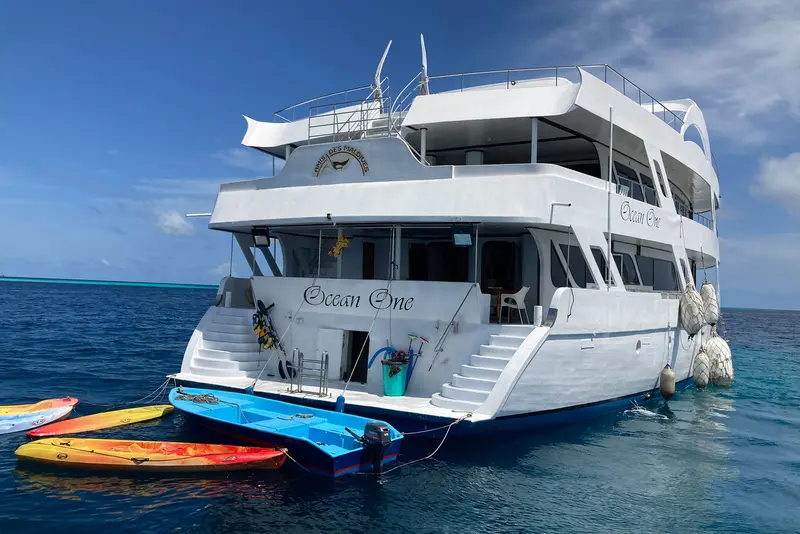 Ocean One