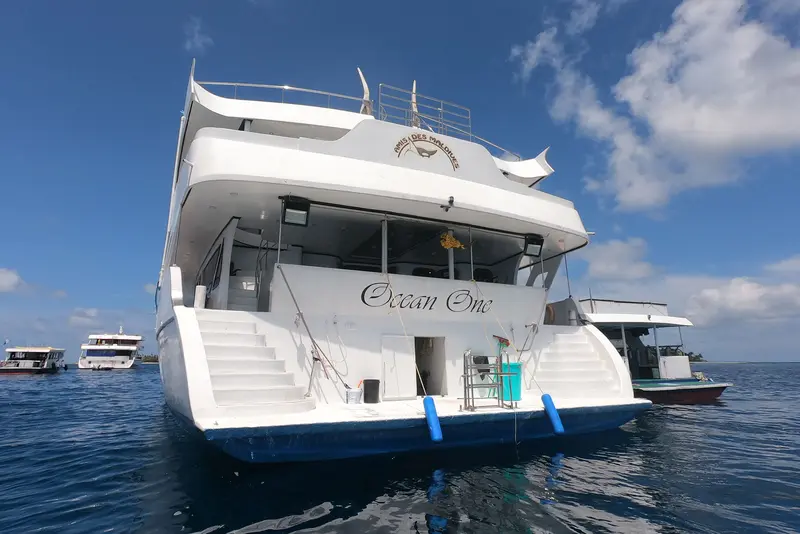 Ocean One