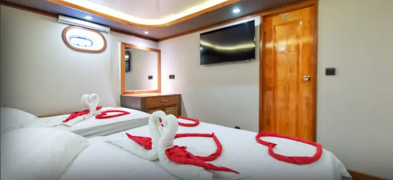 Cabina standard