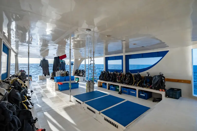 Seafari Explorer 2
