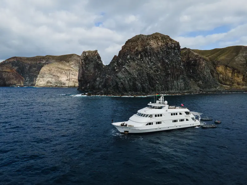 Nautilus Belle Amie
