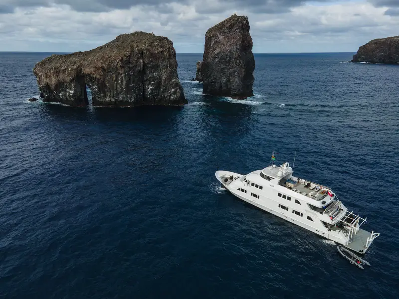 Nautilus Belle Amie