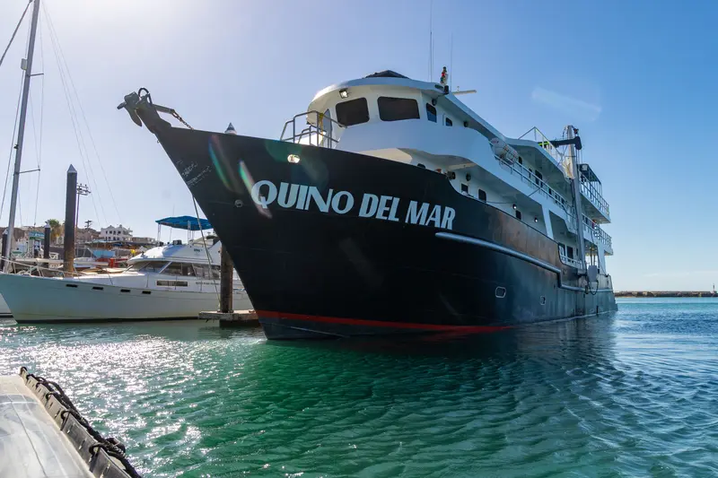 Quino del Mar