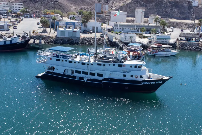 Quino del Mar