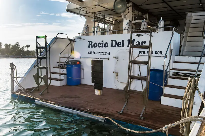 Rocio del Mar