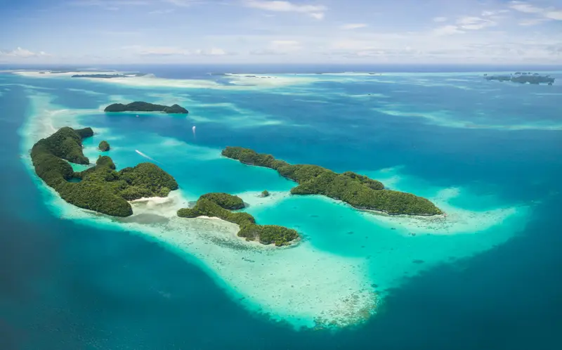 Palau Siren