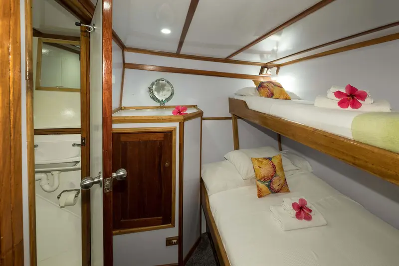 Large Single Cabin 6