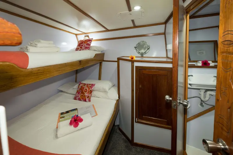 Large Single Cabin 5