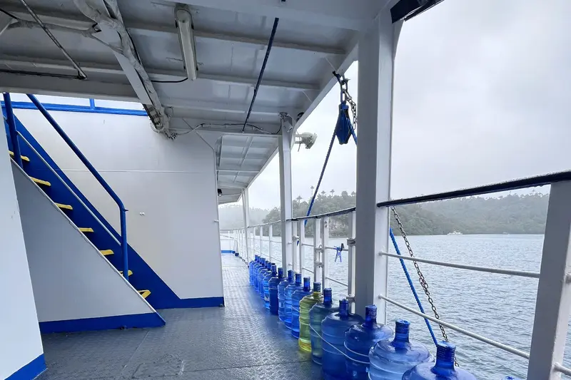 Dolphin Philippines