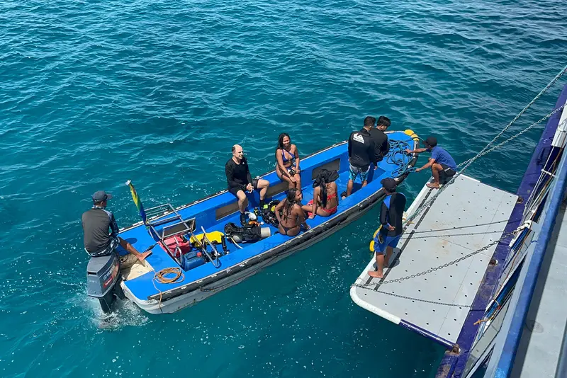 Dolphin Philippines