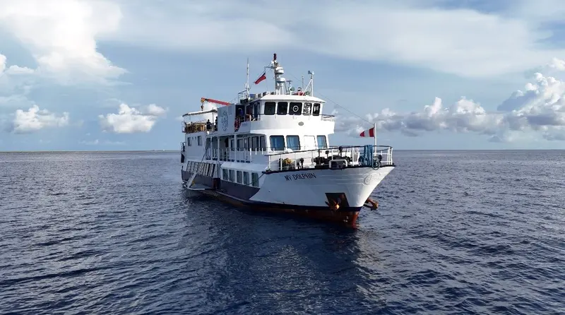 Dolphin Philippines