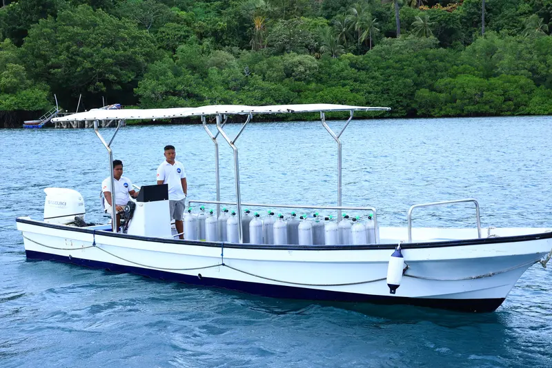 Palau Sport