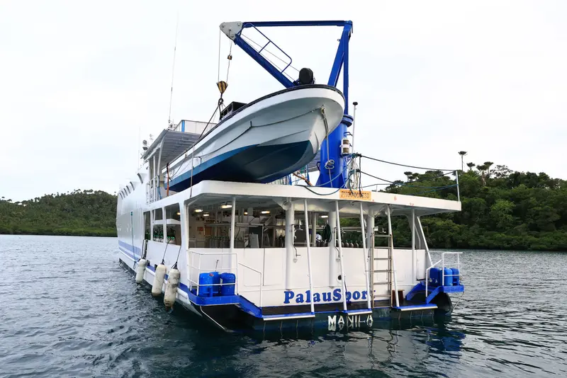 Palau Sport