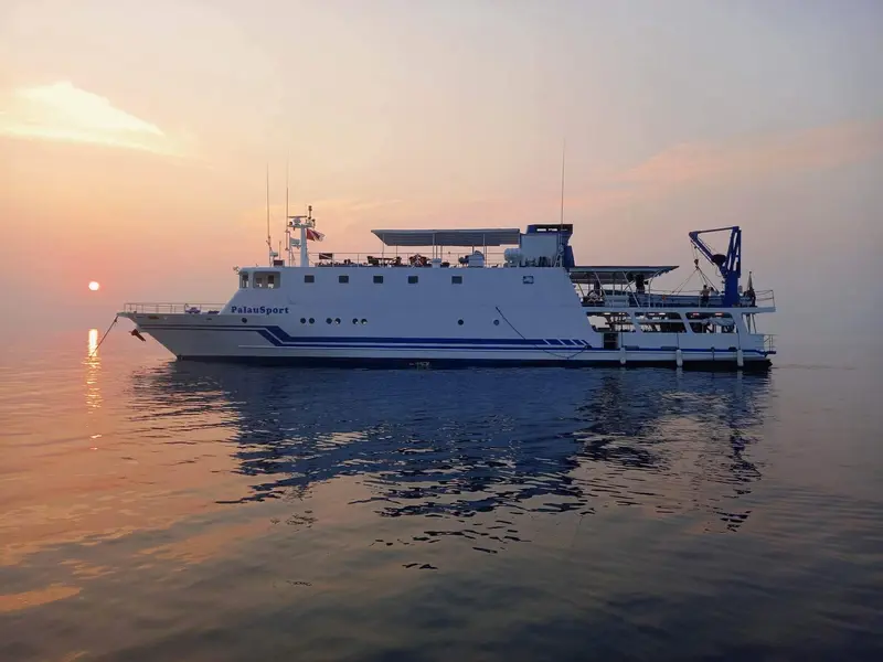 Palau Sport