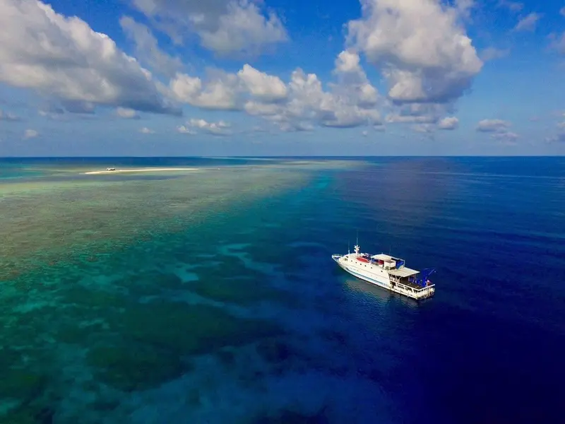Palau Sport