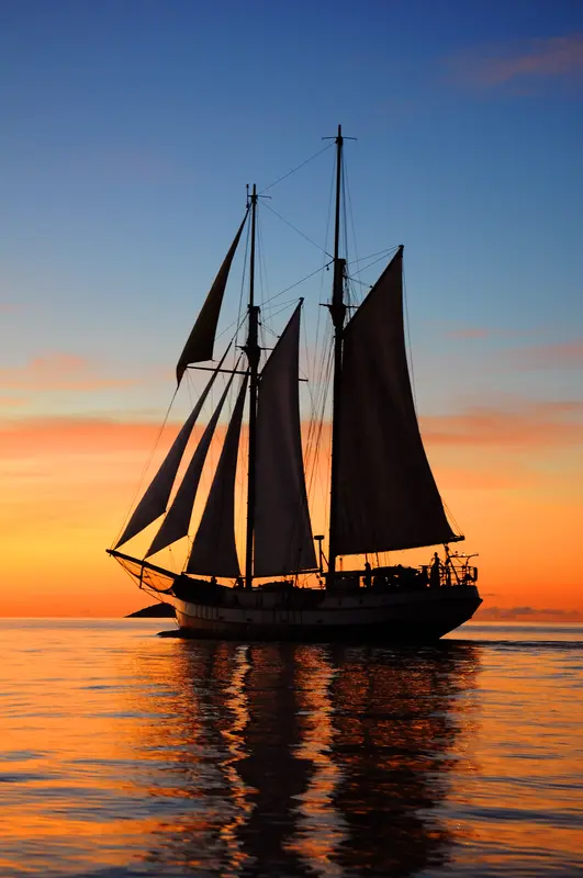 Sea Pearl