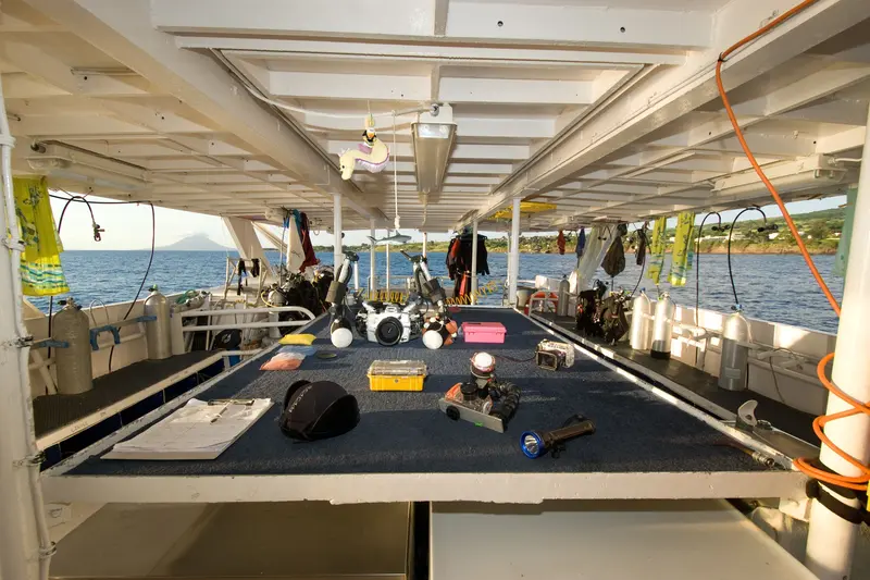 Caribbean Explorer II
