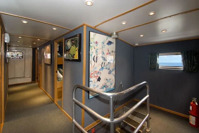 Caribbean Explorer II