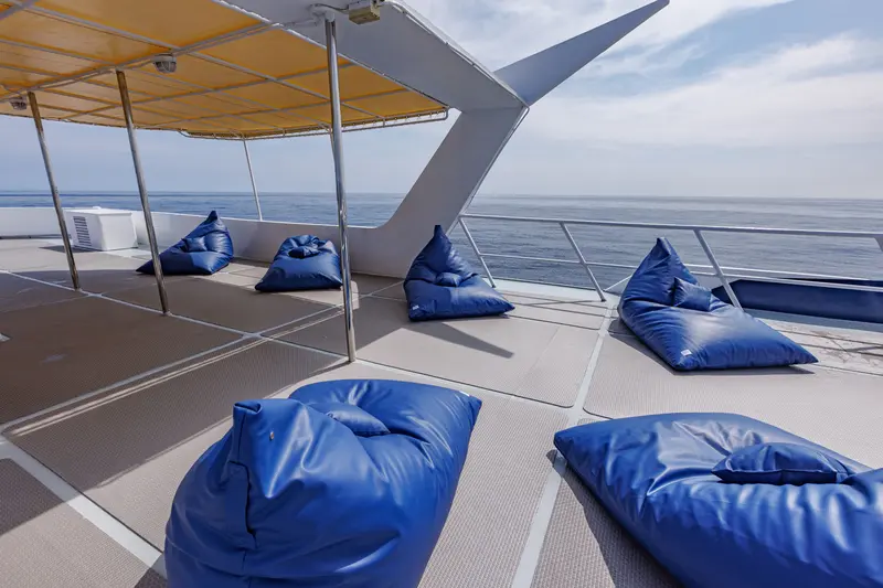 Blue Dolphin