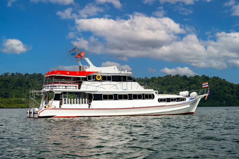 Manta Queen 6