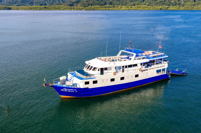 Manta Queen 7