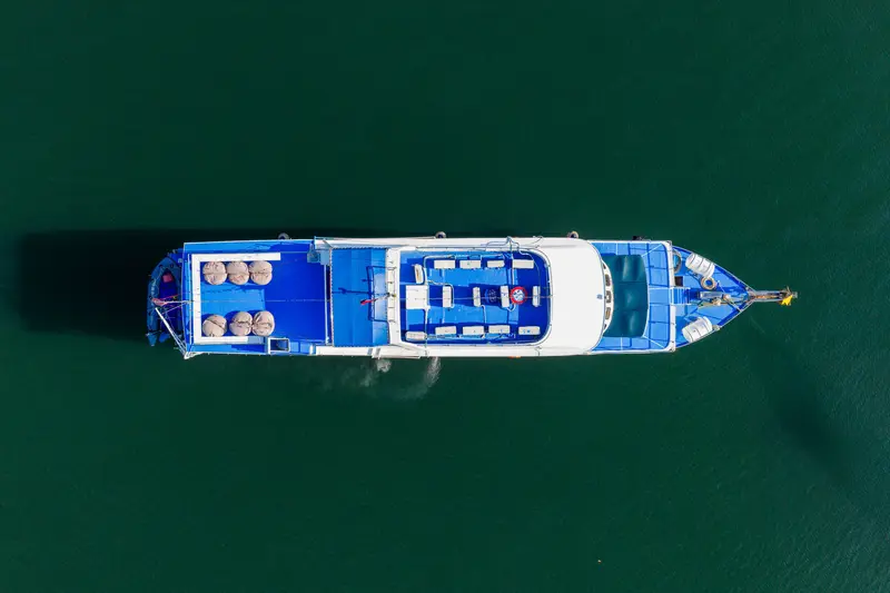 Manta Queen 7