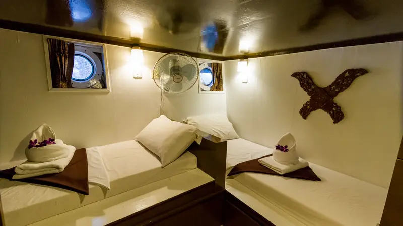 Cabina standard