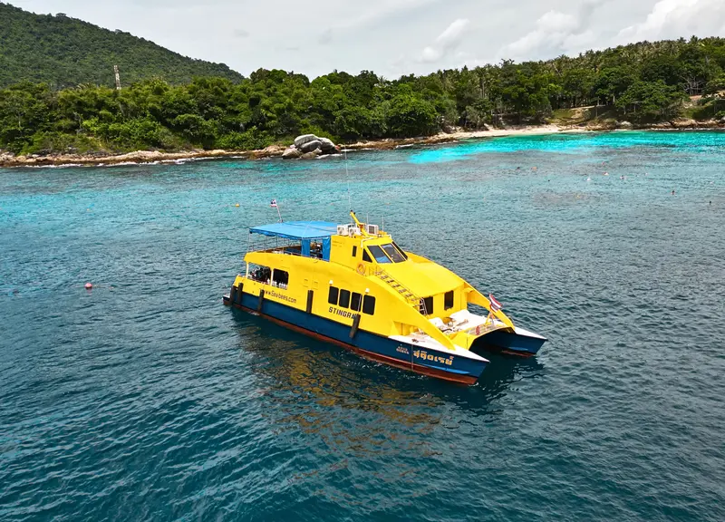 Stingray Thailand