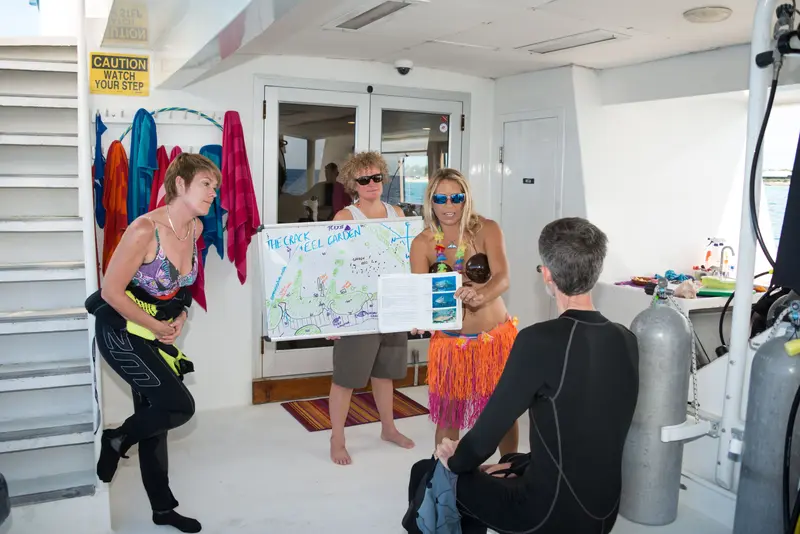 Turks and Caicos Explorer