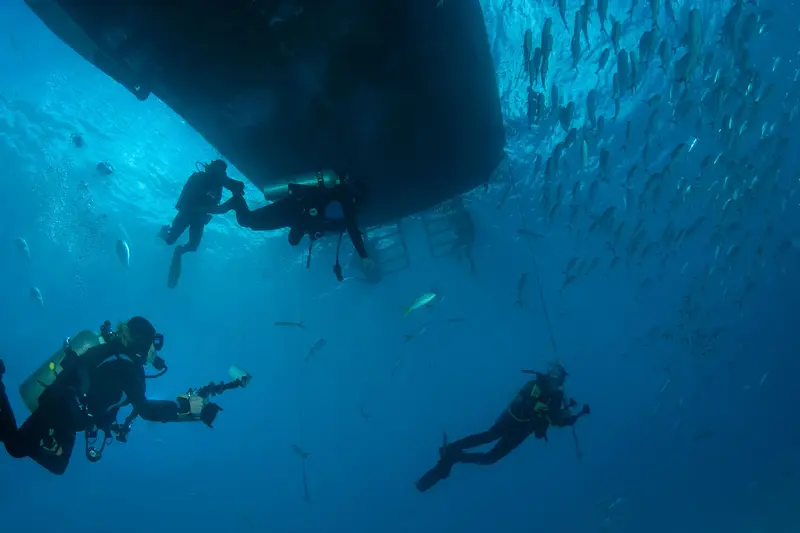 Turks and Caicos Explorer