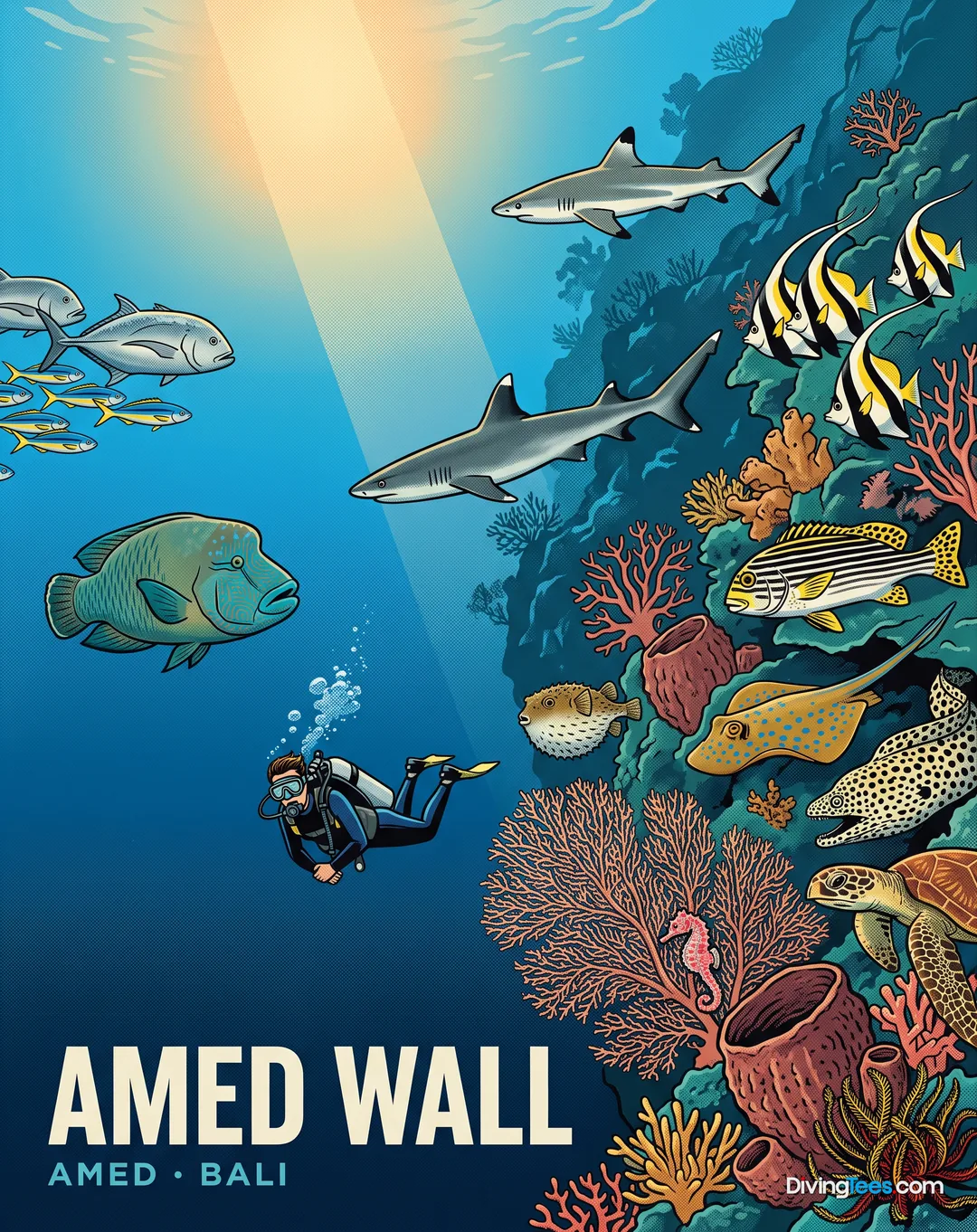 Amed Wall