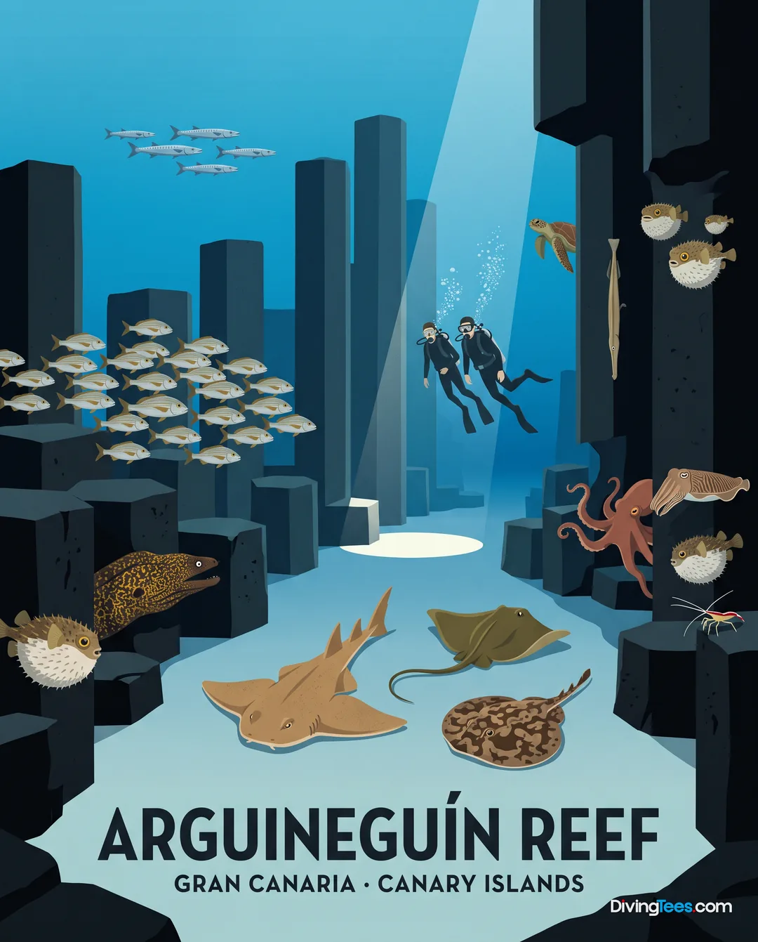 Arguineguín Reef