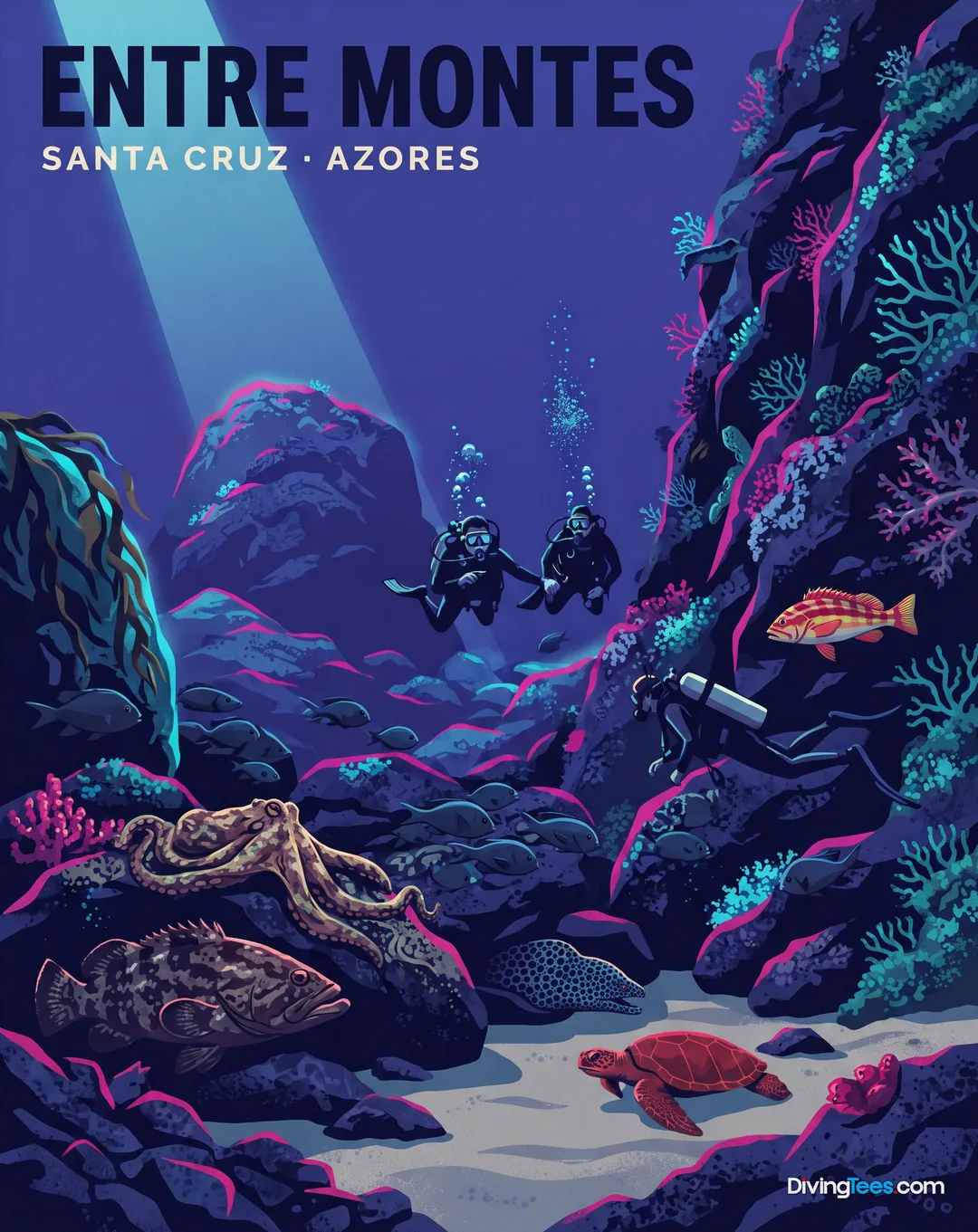 Affiche Baía de Entre Montes Santa Cruz, Azores