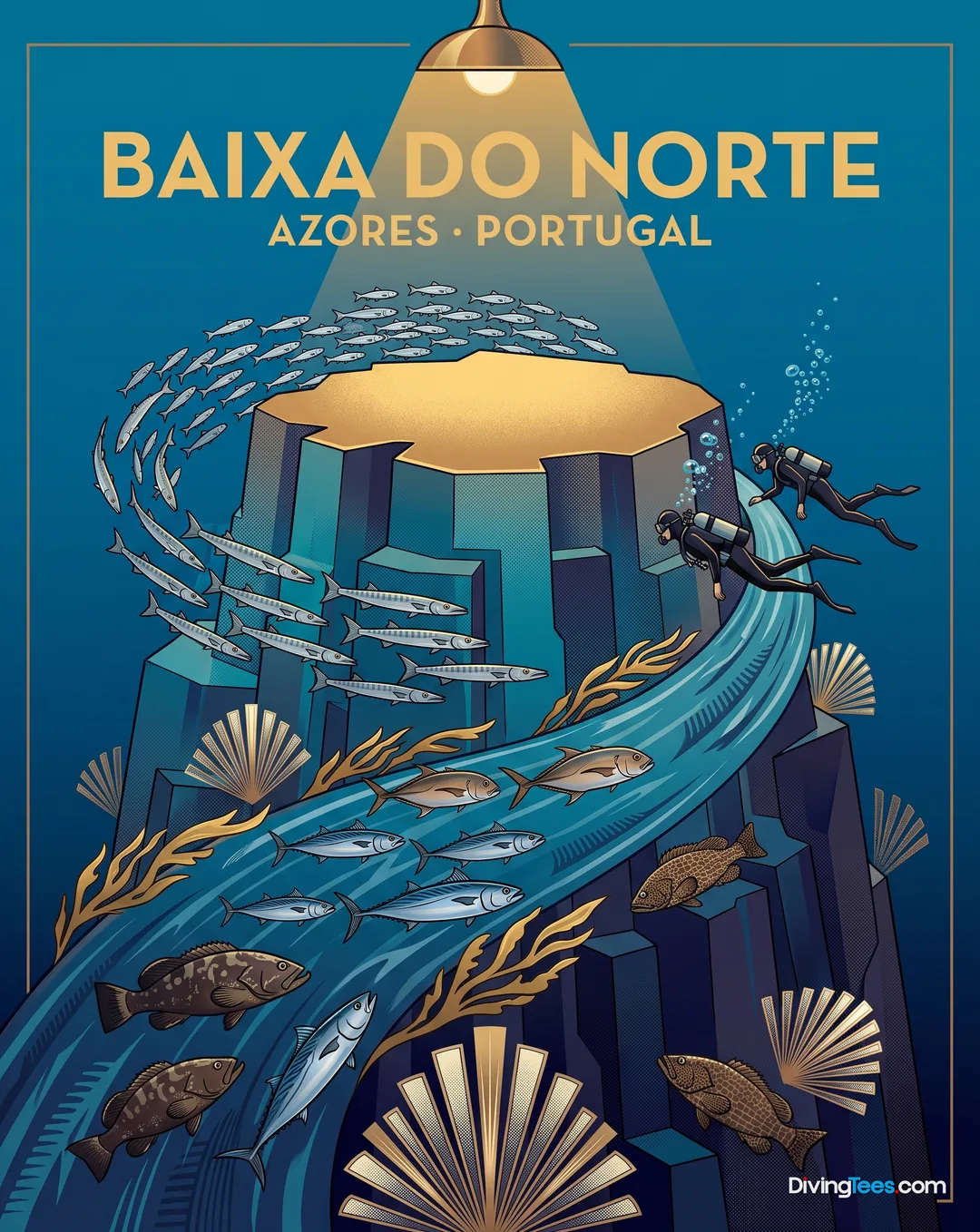 Baixa do Norte