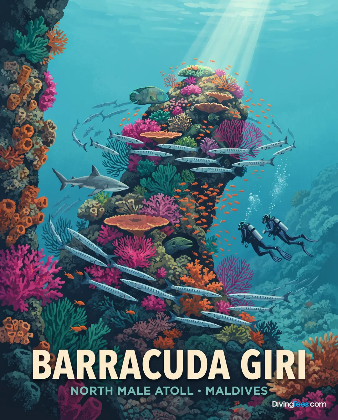 Barracuda Giri