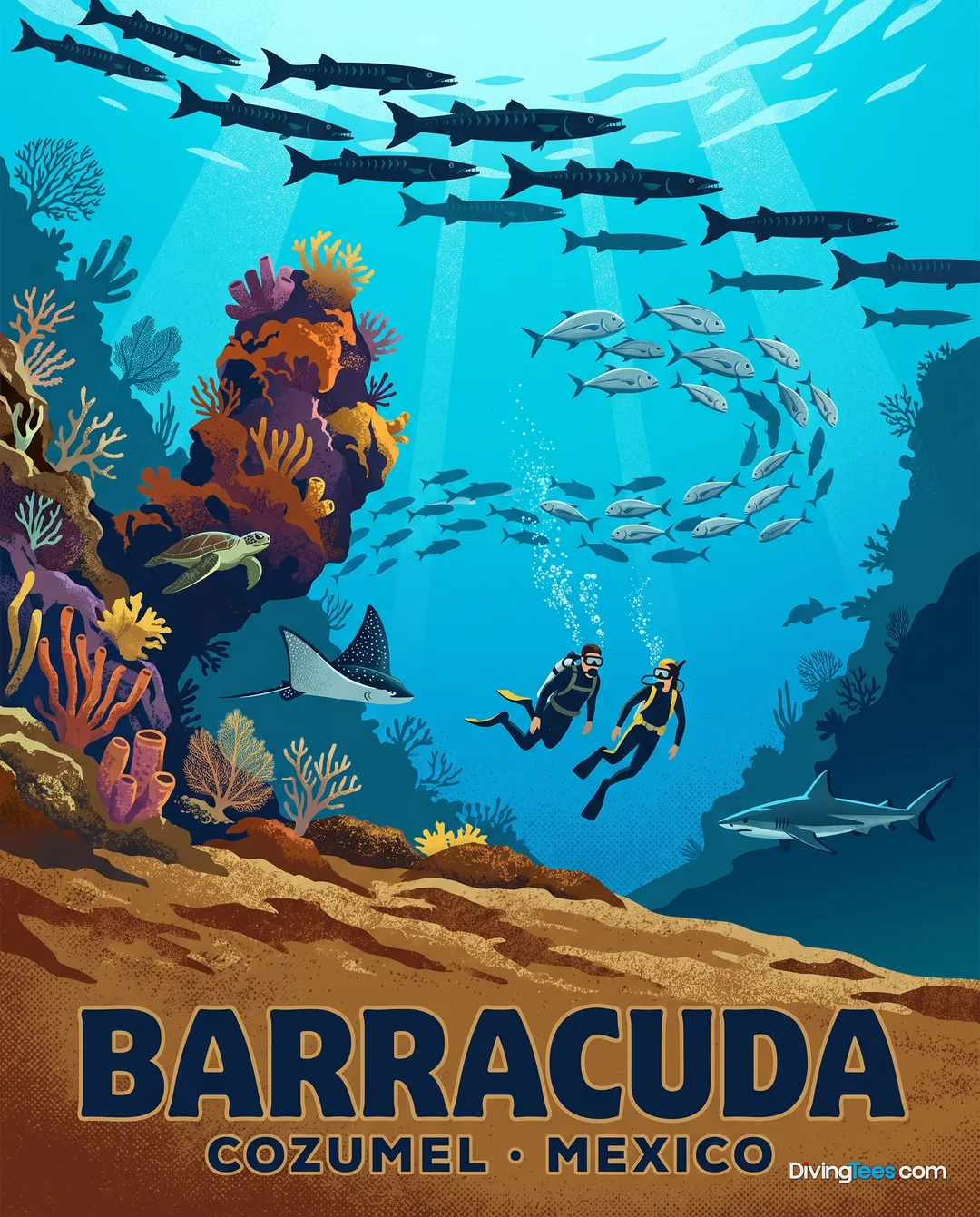 Barracuda