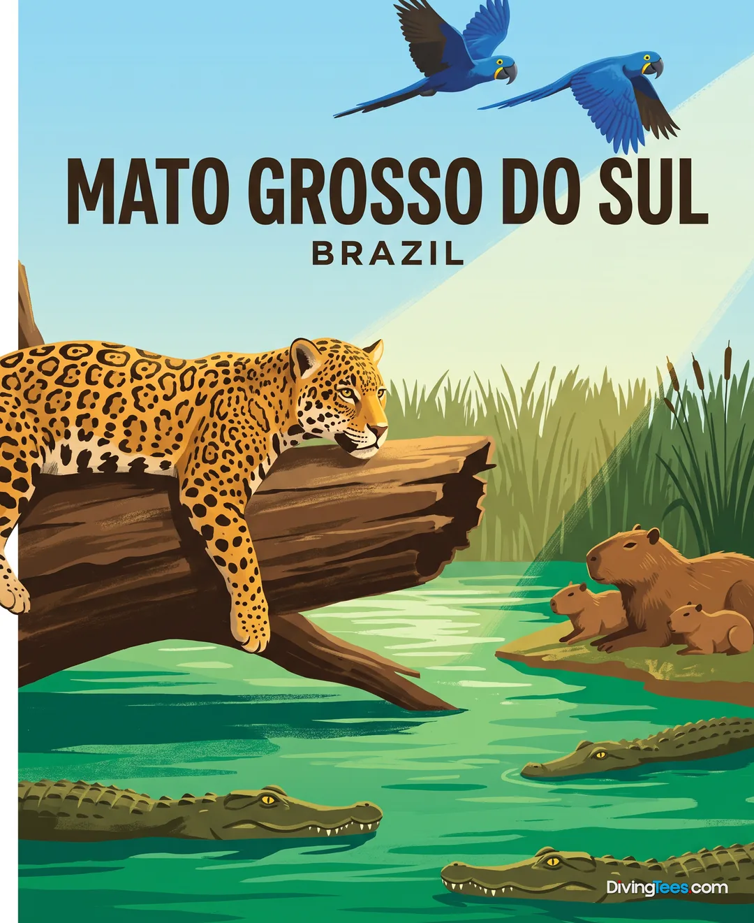 Mato Grosso Do Sul Brazil poster