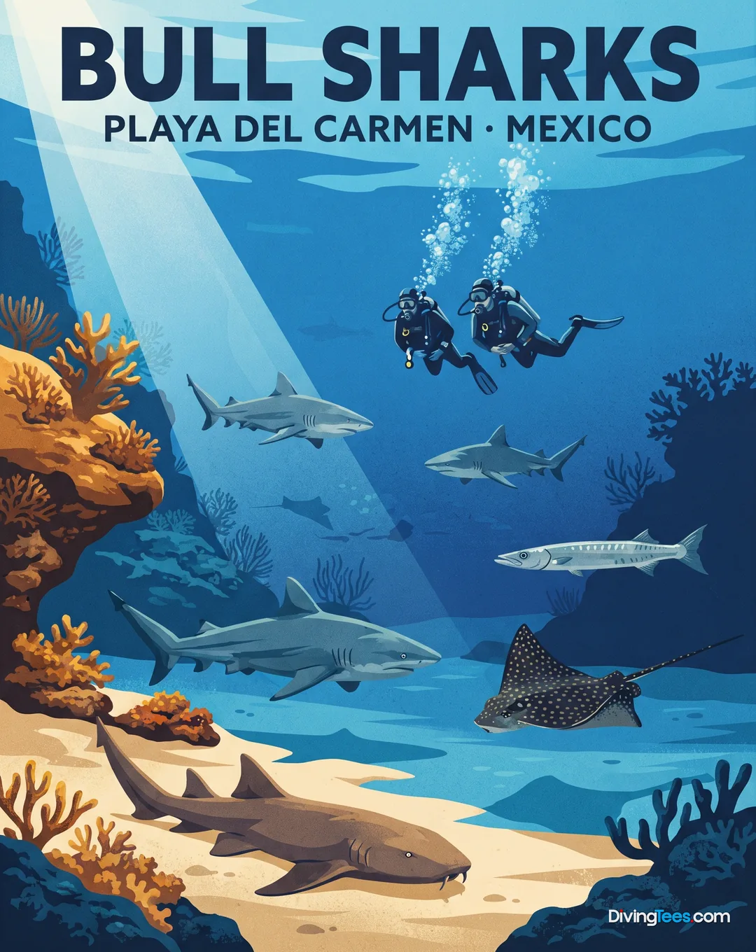 Bull Sharks Expedition