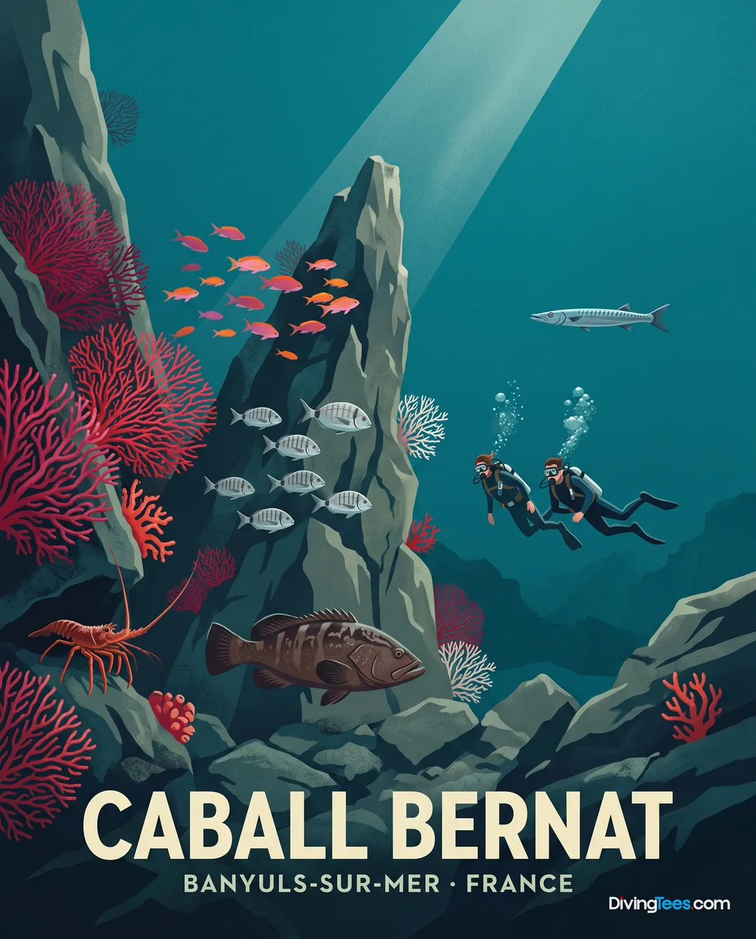 Caball Bernat