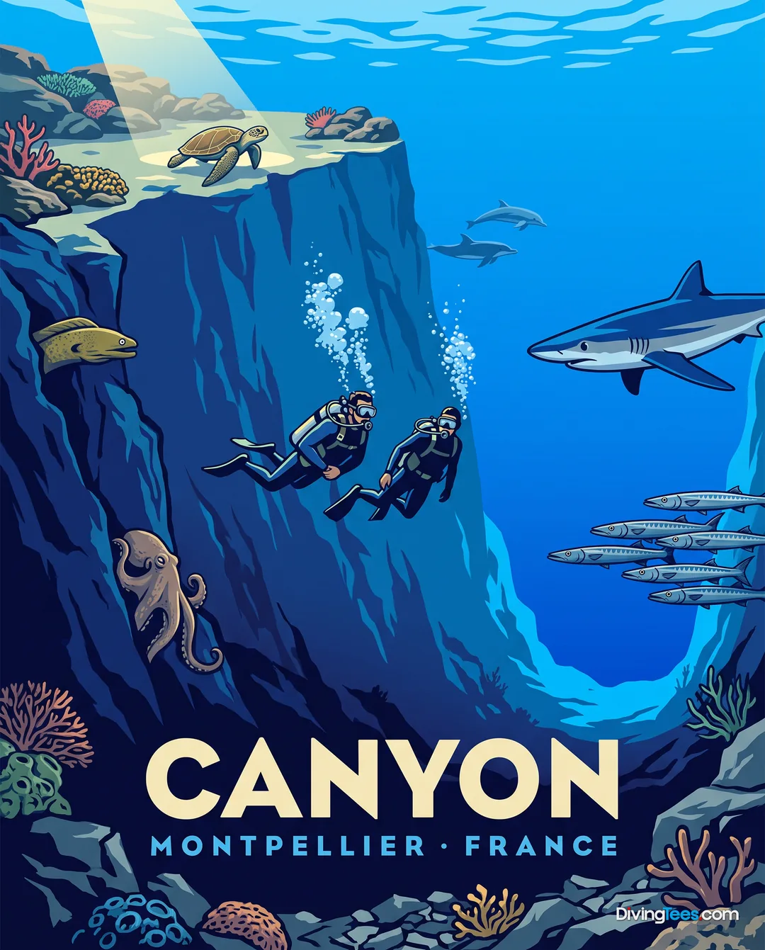 Affiche Canyon Montpellier, France