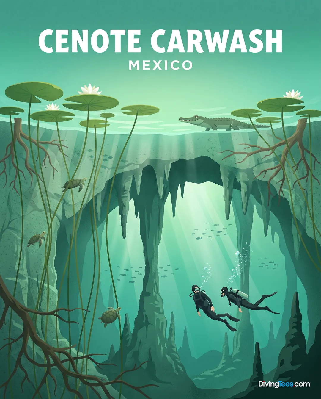 Cenote Car Wash