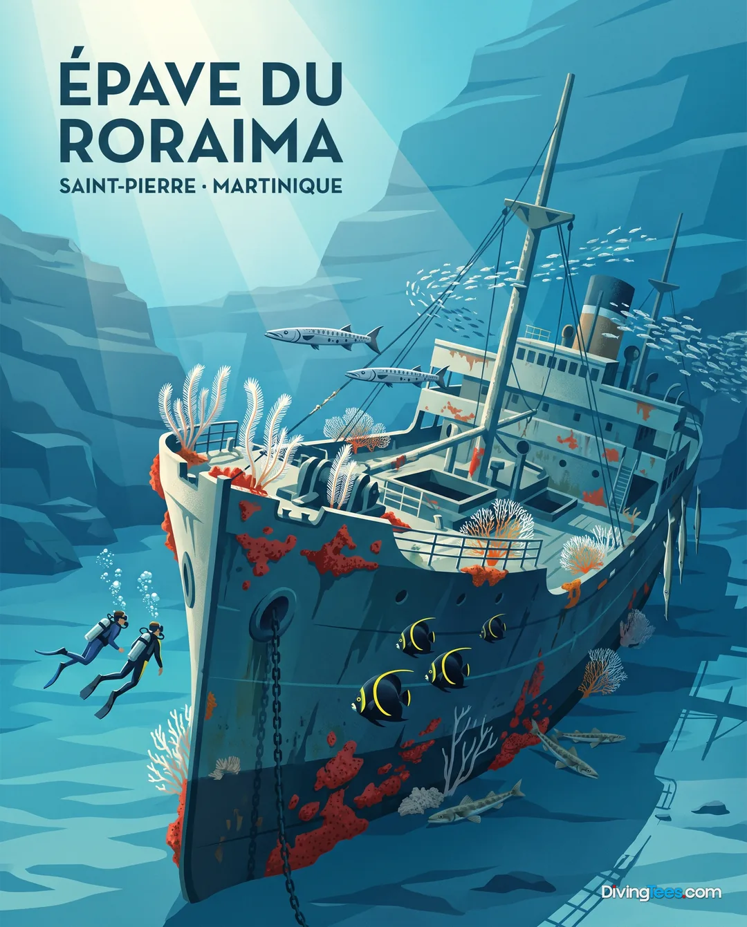 Épave du Roraima