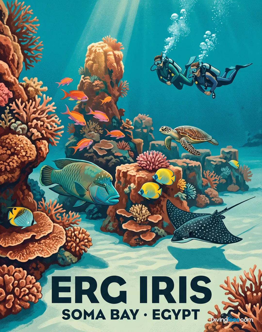 Erg Iris