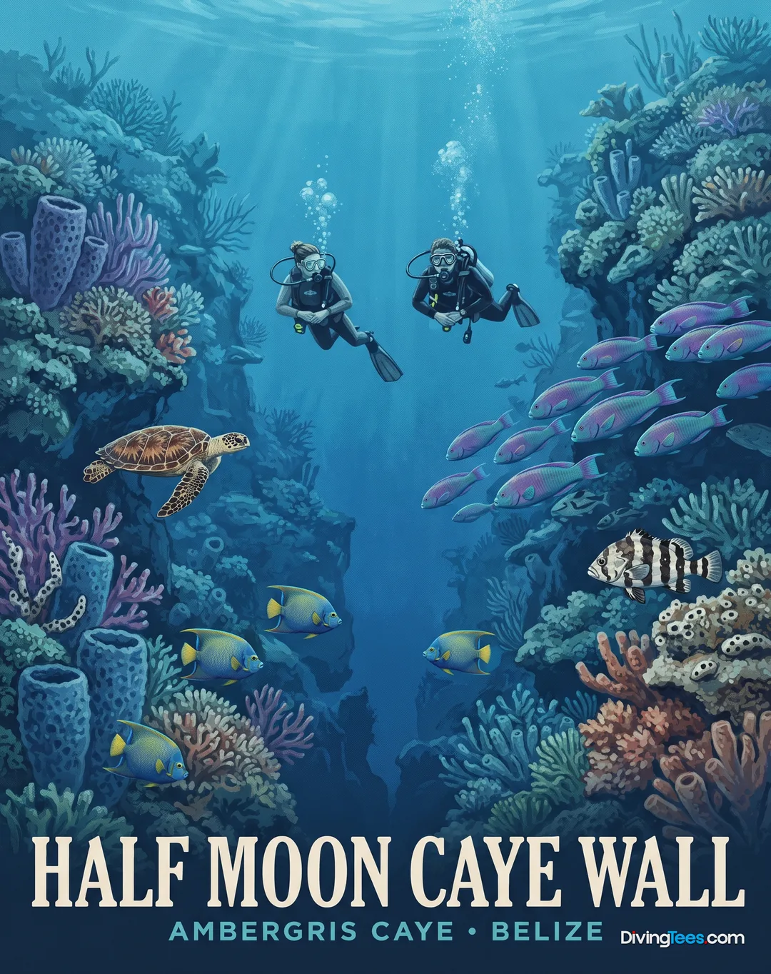 Half Moon Caye Wall