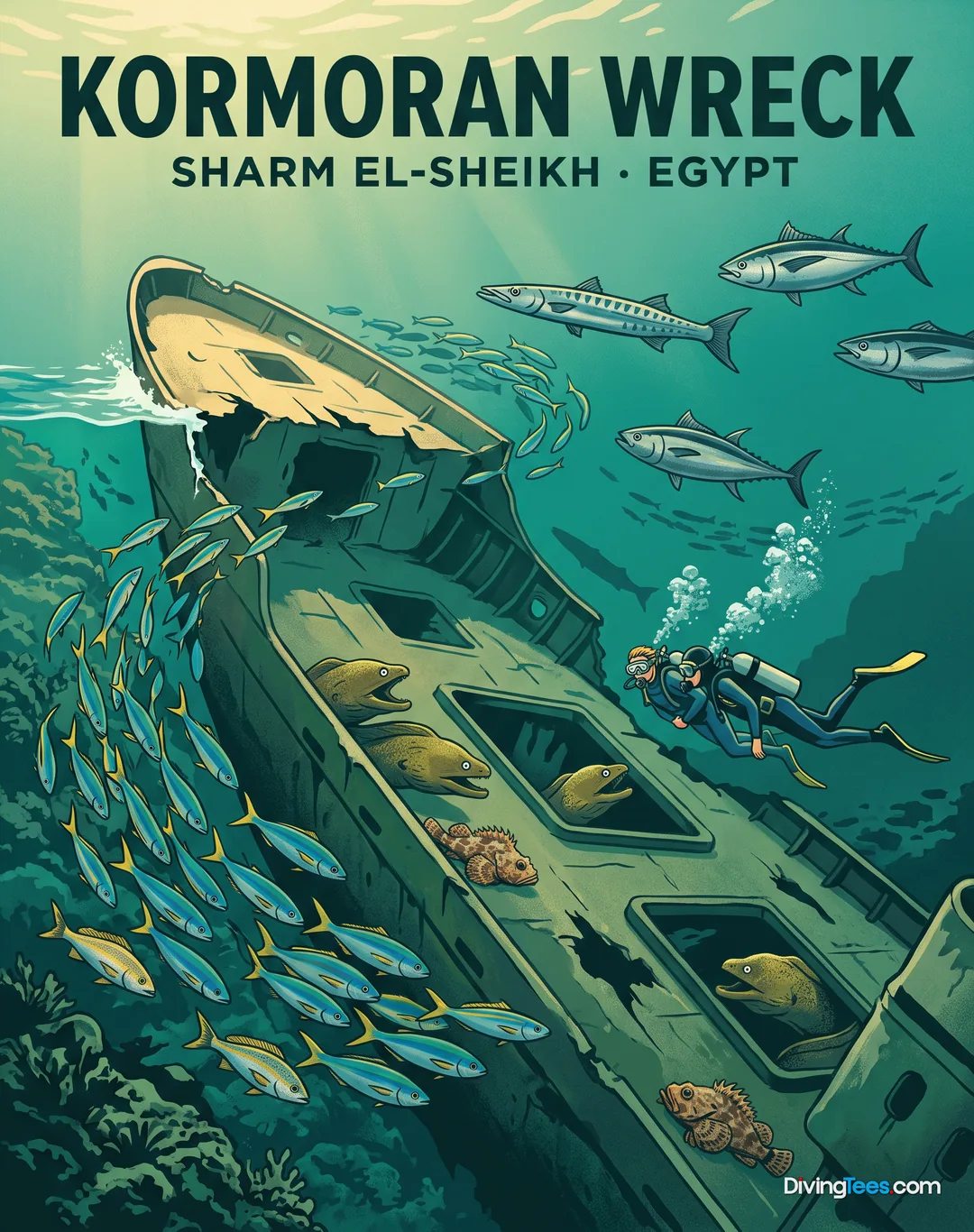 Affiche Kormoran Wreck Sharm El Sheikh, Egypt