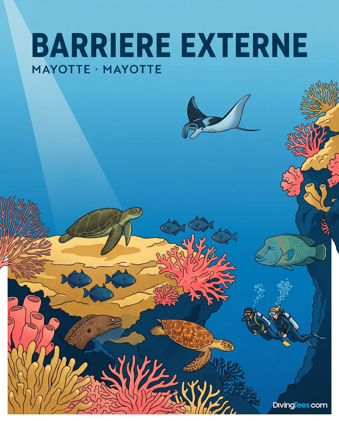 La barrière externe