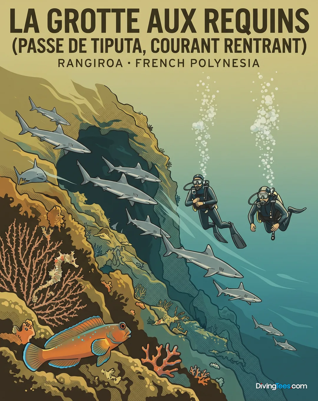 La grotte aux requins