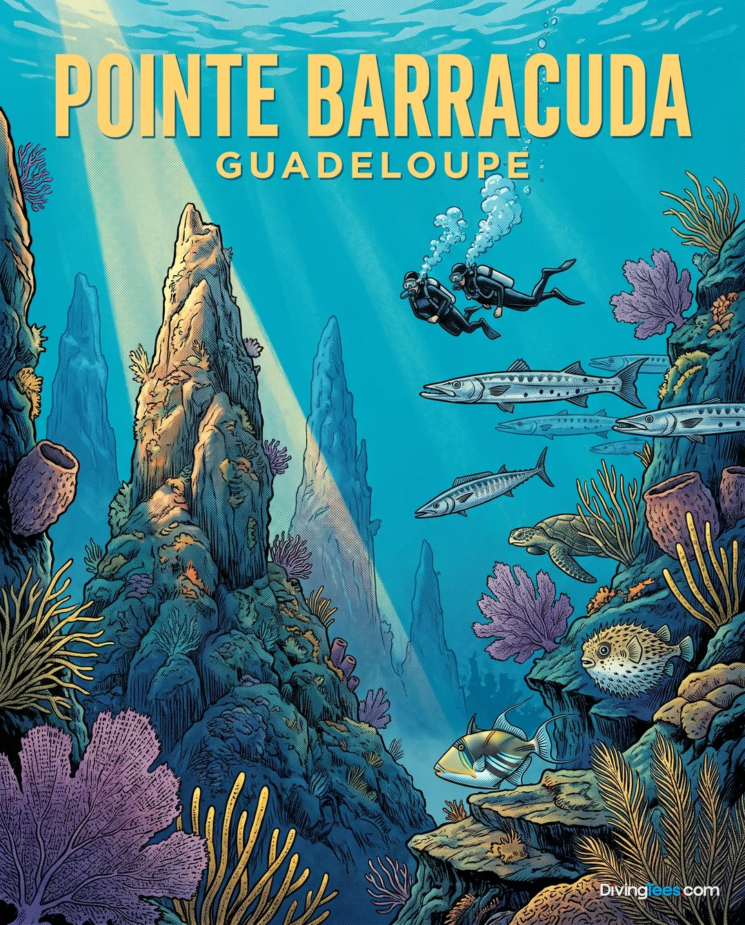 La Pointe Barracuda